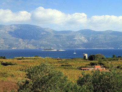 Apartment Two bedroom apartment with terrace and sea view Lumbarda, Korčula A-4376-a - Outdoor photo 22