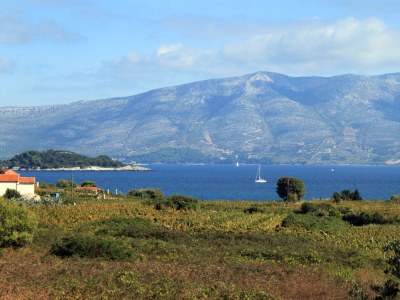 Apartment Two bedroom apartment with terrace and sea view Lumbarda, Korčula A-4376-a - Outdoor photo 23