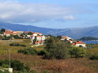Apartment Two bedroom apartment with terrace and sea view Lumbarda, Korčula A-4376-a - Outdoor photo 24