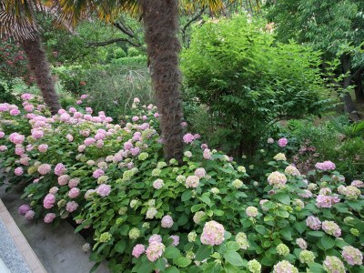 Apartment Two bedroom apartment with terrace Palit, Rab A-5028-a - Outdoor photo 11