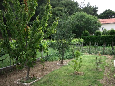 Apartment Two bedroom apartment with terrace Palit, Rab A-5028-a - Outdoor photo 31