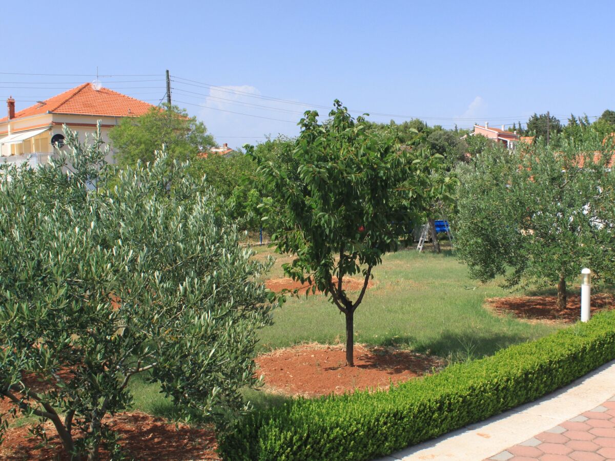 Apartment Studio flat with terrace Sušica, Ugljan AS-8265-b - Outdoor photo 3