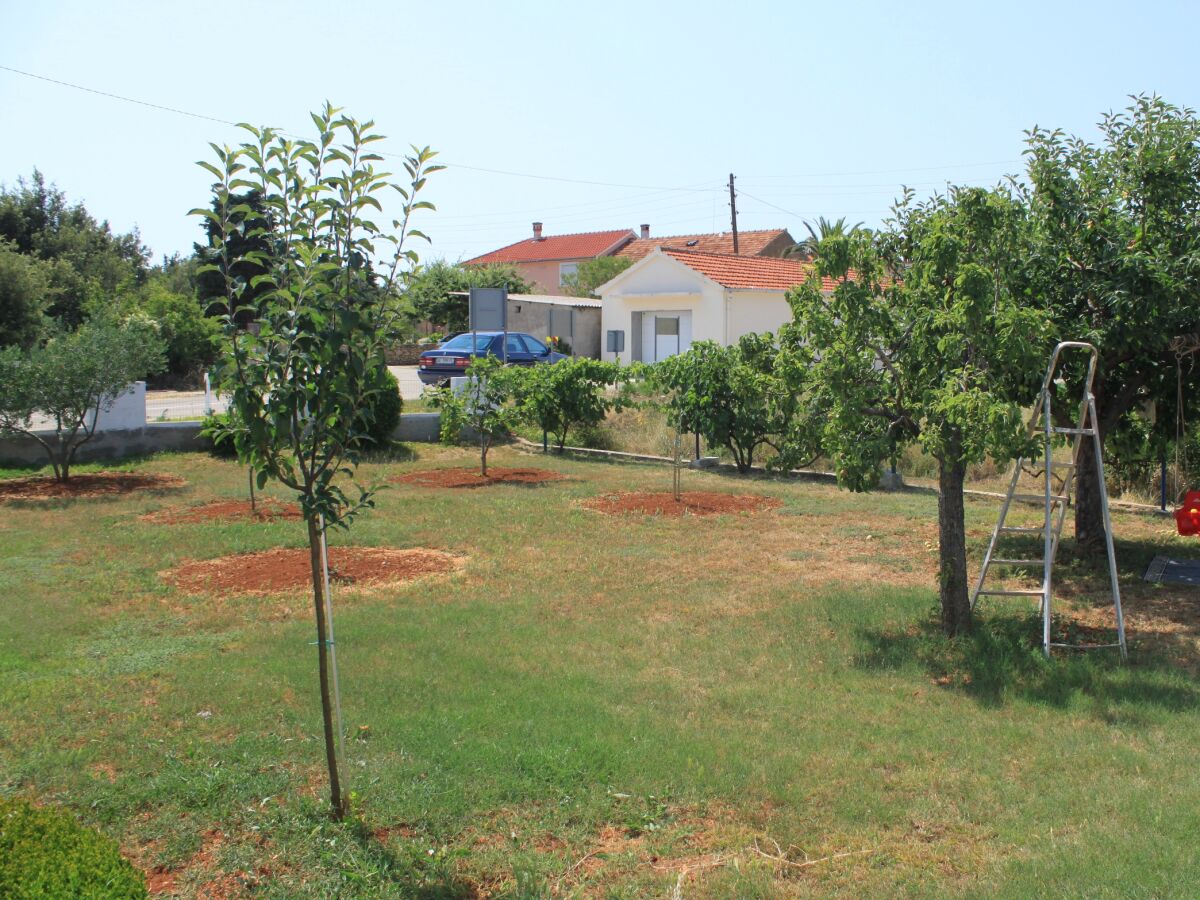 Apartment Studio flat with terrace Sušica, Ugljan AS-8265-b - Outdoor photo 5