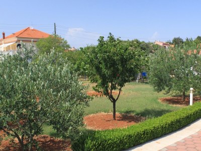 Apartment Studio flat with terrace Sušica, Ugljan AS-8265-b - Outdoor photo 3