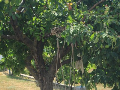 Apartment Studio flat with terrace Sušica, Ugljan AS-8265-b - Outdoor photo 6