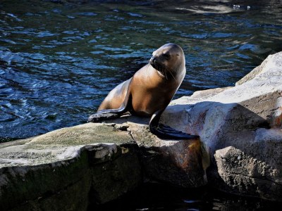 Holiday house Gästehaus Am Brockeswald - Outdoor photo 11