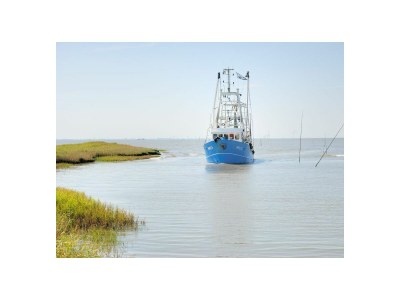 Holiday house Gästehaus Am Brockeswald - Outdoor photo 18