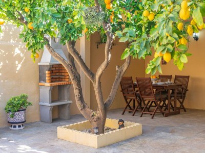 Holiday house Juniper (inca) - House With Private Pool In Inca - Outdoor photo 17