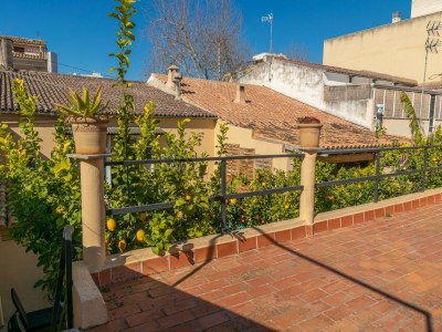 Holiday house Juniper (inca) - House With Private Pool In Inca - Outdoor photo 18