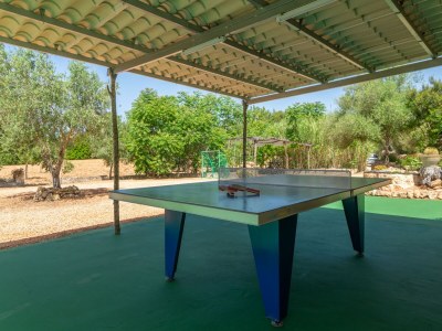 Villa Cas Conill - Villa With Private Pool In Llucmajor - Outdoor photo 41