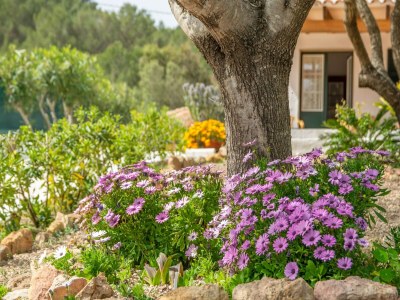 Villa Casa Dina - Ferienhaus Mit Privatem Pool - Outdoor photo 47