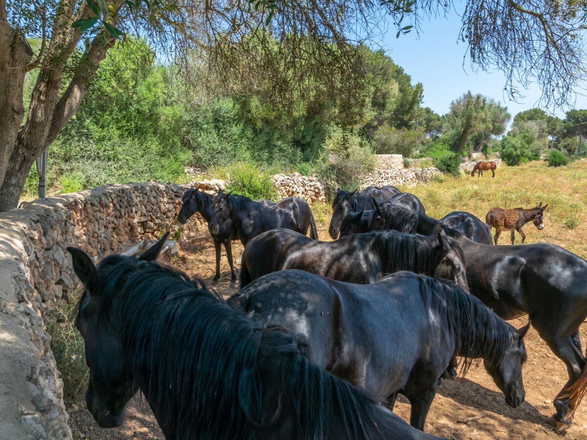 Villa Talaia D'artrutx - Villa With Private Pool - Outdoor photo 4