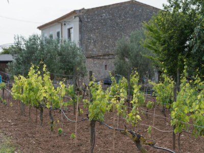 Villa Sa Vinyota - Ferienhaus Mit Privatem Pool - Outdoor photo 16