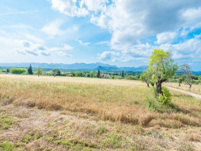 Villa Sa Vinyota - Ferienhaus Mit Privatem Pool - Environment photo 37