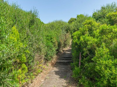 Apartment Biniforcat 11 - Apartment In Ciutadella - Outdoor photo 25