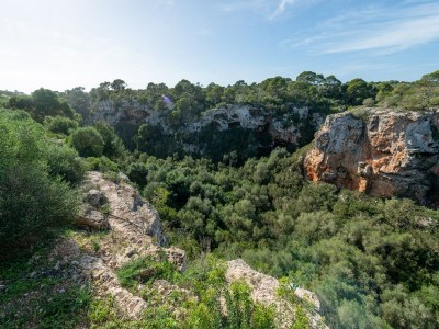 Apartment The Torrent's Observer Holiday Home - Apartment - Environment photo 29