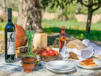 Villa Can Pere Rapinya - Villa With Private Pool - Outdoor photo 26