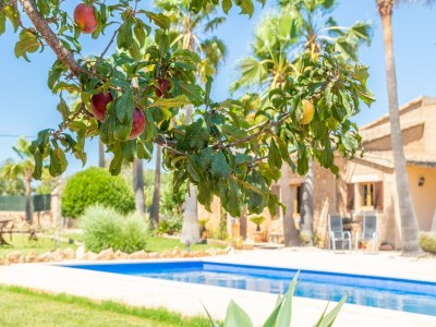 Villa Es Coco De Sa Mola - Villa With Private Pool - Outdoor photo 41