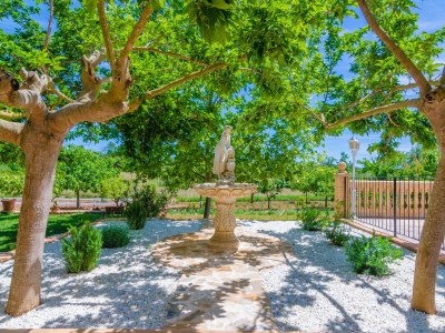 Villa Sa Cova (cova De Rotana) - Villa With Private Pool - Outdoor photo 13