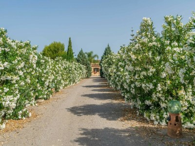 Villa Banc Doli - Ferienhaus Mit Privatem Pool - Environment photo 40