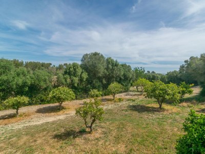 Villa Son Barrigo - Villa With Private Pool In Porreres - Outdoor photo 35