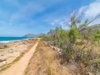 Holiday house Ca Na Maria (dorant) - House - Environment photo 17