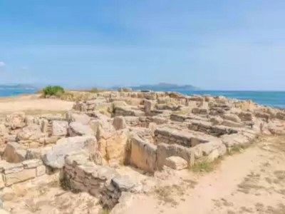 Holiday house Ca Na Maria (dorant) - House - Environment photo 19