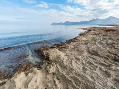 Holiday house Ca Na Maria (dorant) - House - Environment photo 26