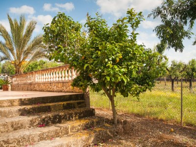 Villa Son Morro - Villa With Private Pool. Free Wifi - Outdoor photo 10