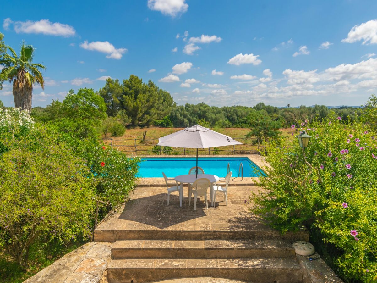 Holiday house Son Mayol 2 - Apartment In Son Mesquida - Outdoor photo 4