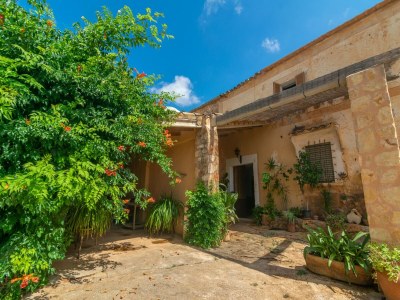 Holiday house Son Mayol 2 - Apartment In Son Mesquida - Outdoor photo 36