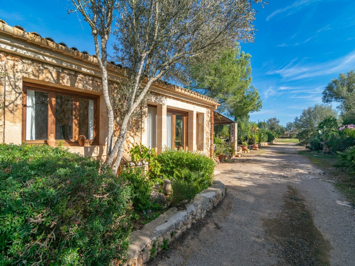Villa Garriga D'alcudiola - Villa With Private Pool - Outdoor photo 2