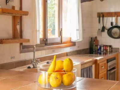 Villa Garriga D'alcudiola - Villa With Private Pool - Features photo 19