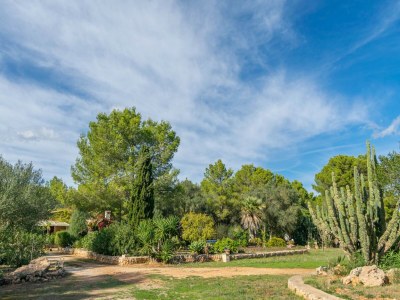 Villa Garriga D'alcudiola - Villa With Private Pool - Environment photo 32