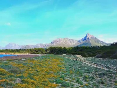 Holiday house Sestanyol - House In S'estanyol. Free Wifi - Environment photo 18