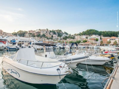 Holiday house Can Sucre - Ferienhaus Mit Privatem Pool - Environment photo 27