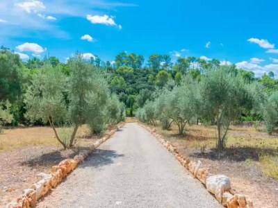 Villa Can Pina - Eco Cascada - - Ferienhaus Mit Pool - Environment photo 20