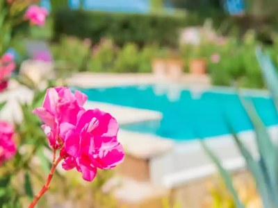 Villa Can Pina - Eco Cascada - - Ferienhaus Mit Pool - Outdoor photo 23