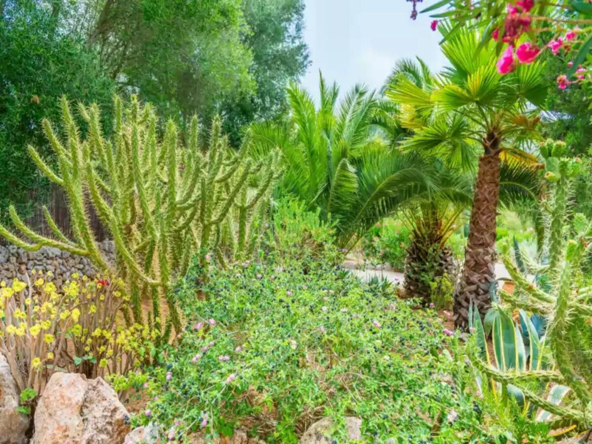 Apartment Can Pina - Eco Pina - - Apartment In Costitx - Outdoor photo 4