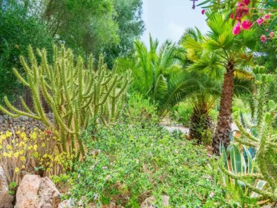 Apartment Can Pina - Eco Pina - - Apartment In Costitx - Outdoor photo 4