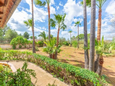 Villa Es Garroveret - Villa With Private Pool. Free Wifi - Environment photo 27