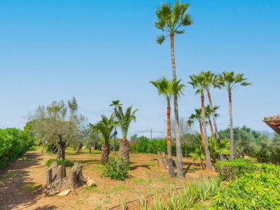 Villa Es Garroveret - Villa With Private Pool. Free Wifi - Environment photo 28