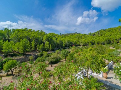 Villa Can Bolei - Villa With Private Pool In Sant Elm - Environment photo 37