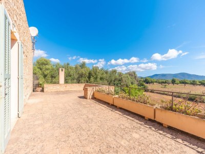 Villa Ses Fonolleres - Villa With Private Pool - Environment photo 38