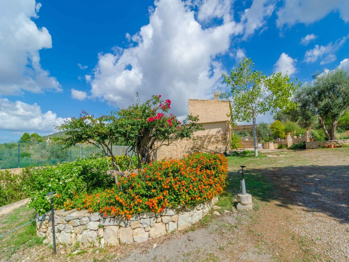 Villa La Cigarra Can Carrasco - Ferienhaus Mit Pool - Outdoor photo 4
