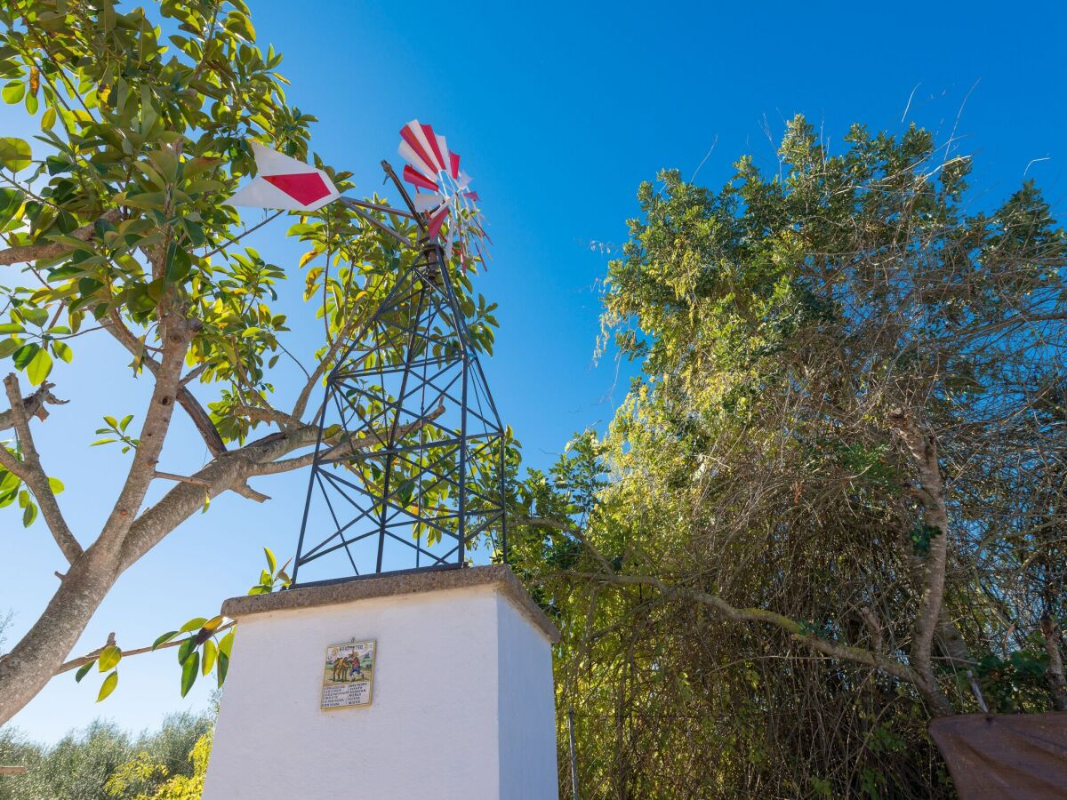 Holiday house Las Piedras - Ferienhaus In Llucmajor. Wifi Gratis - Outdoor photo 4