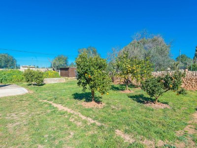 Holiday house Las Piedras - Ferienhaus In Llucmajor. Wifi Gratis - Outdoor photo 7