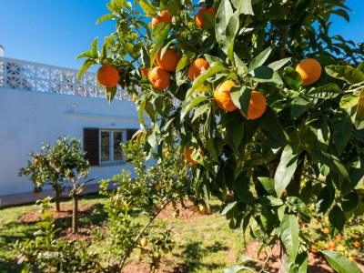 Holiday house Las Piedras - Ferienhaus In Llucmajor. Wifi Gratis - Outdoor photo 18