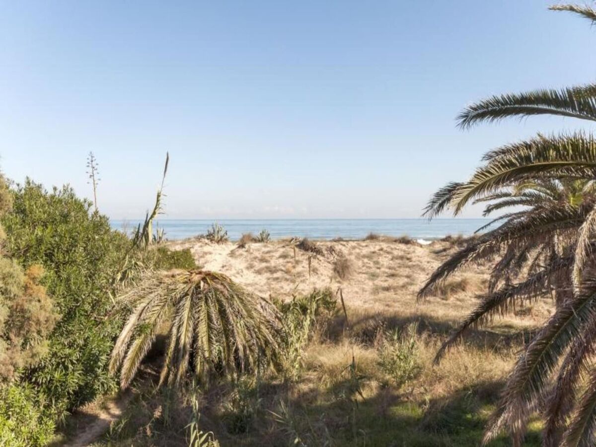 Apartment Cotton - Apartment In Urbanització Platja D'oliva - Outdoor photo 3