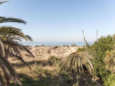 Apartment Cotton - Apartment In Urbanització Platja D'oliva - Environment photo 31